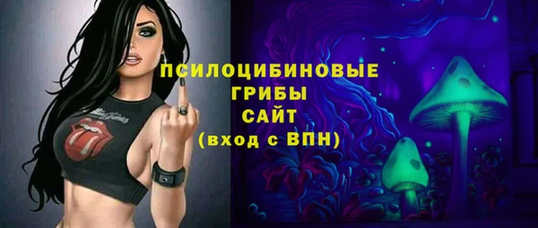 эйфоретик Гусь-Хрустальный