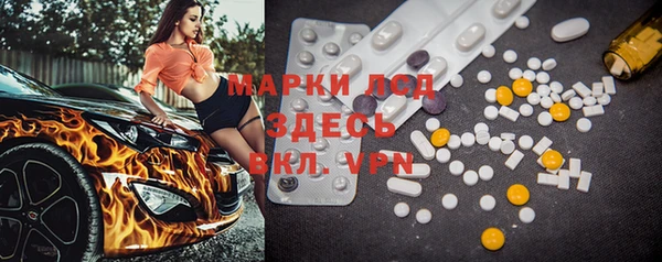 эйфоретик Гусь-Хрустальный