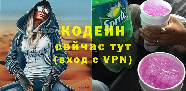 эйфоретик Гусь-Хрустальный