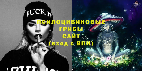эйфоретик Гусь-Хрустальный