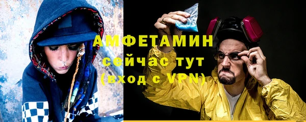 эйфоретик Гусь-Хрустальный