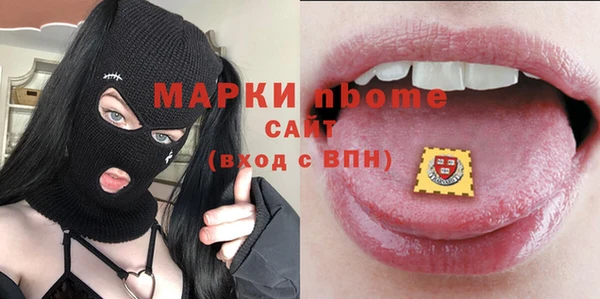 эйфоретик Гусь-Хрустальный