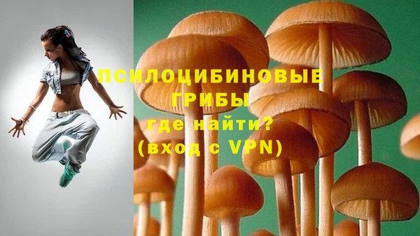 экстази Гусев