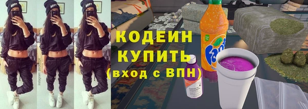 эйфоретик Гусь-Хрустальный
