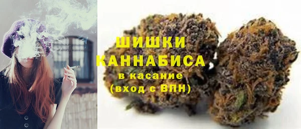 эйфоретик Гусь-Хрустальный