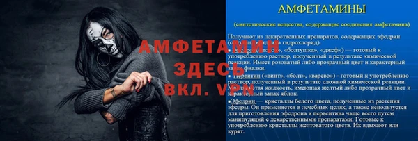 эйфоретик Гусь-Хрустальный
