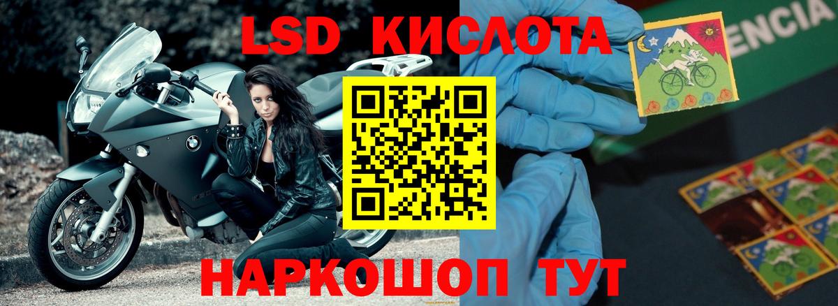 Лсд 25 экстази ecstasy  ЛСД экстази ecstasy  omg   Вход с VPN  Елизово 