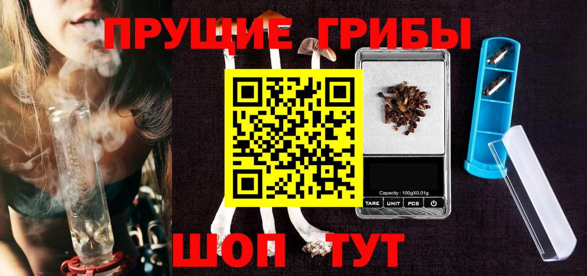 НБОМе Елизово