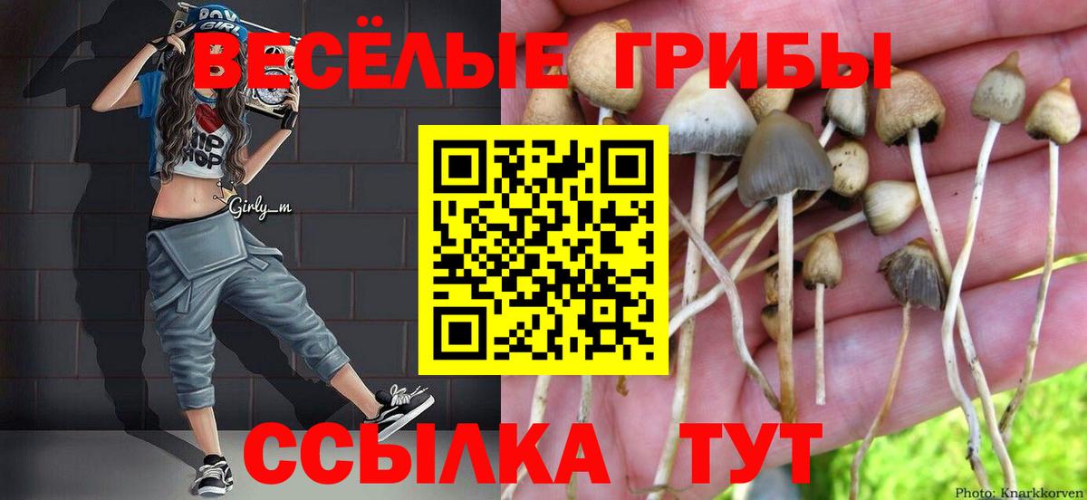 Псилоцибиновые грибы ЛСД  Елизово  Галлюциногенные грибы MAGIC MUSHROOMS 